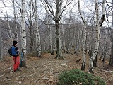 Verso l'Alpe Ompio.....